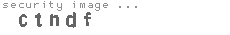 security image