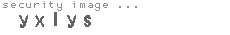 security image