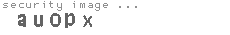security image