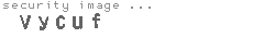 security image