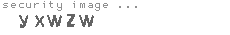 security image