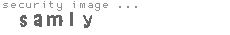 security image