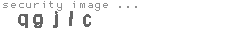 security image