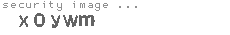security image
