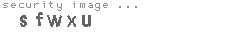 security image
