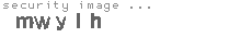 security image