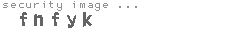 security image