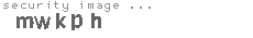 security image