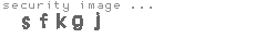 security image