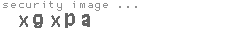 security image