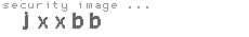 security image