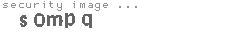 security image