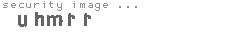 security image