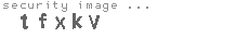 security image