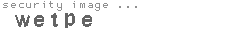 security image