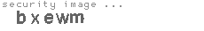 security image