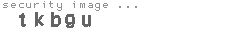 security image