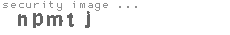 security image