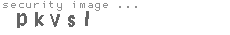 security image