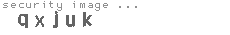 security image