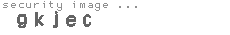 security image