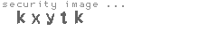 security image