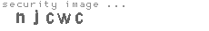 security image