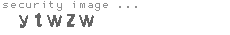 security image