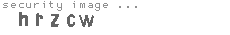 security image