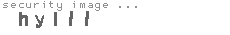 security image