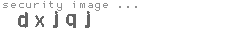 security image