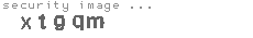 security image