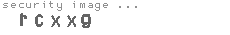 security image
