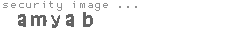 security image
