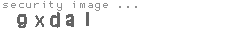 security image