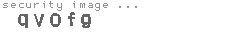 security image