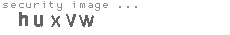 security image