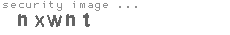security image
