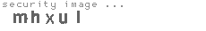 security image