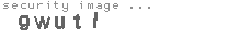security image