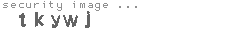 security image