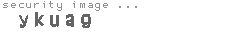 security image