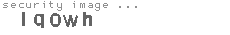 security image