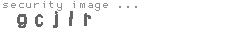 security image