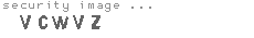 security image