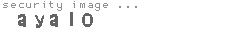 security image