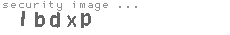 security image