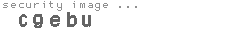 security image