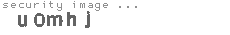 security image