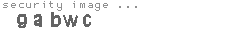 security image